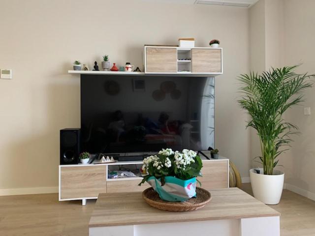 Bajo Con Jardin En Primera Linea De Playa Apartment Malaga Luaran gambar